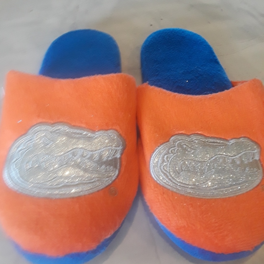 Florida Gators Women's Plush Slide On Slippers
